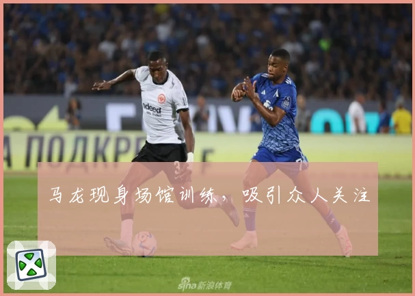 马龙现身场馆训练，吸引众人关注
