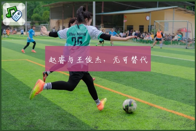 赵睿与王俊杰，无可替代