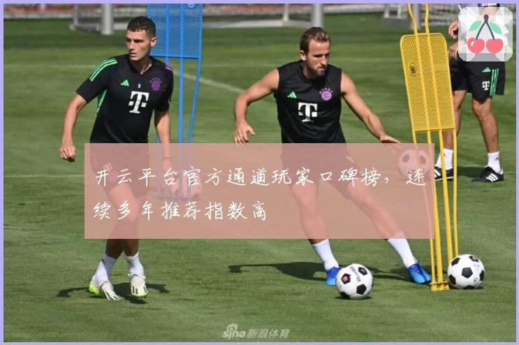 开云平台官方通道玩家口碑榜，连续多年推荐指数高
