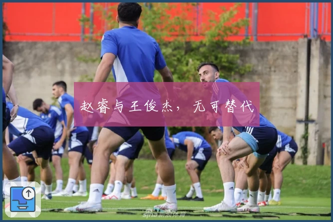 赵睿与王俊杰，无可替代